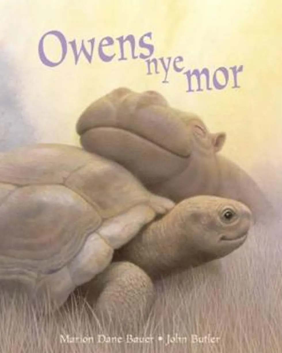 Owens nye mor