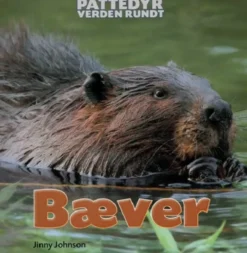 Pattedyr verden rundt: Bæver