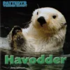 Pattedyr verden rundt: Havodder