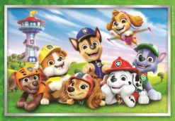 Paw Patrol 60 brikker