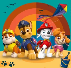Paw Patrol 3x48 brikker