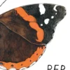 Per