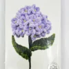 Piberenser blomster hortensia 1 STK