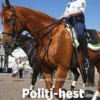 Politi-hest, Grøn Fagklub