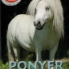 POPULÆRE HESTE: Ponyer