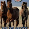 POPULÆRE HESTE: Vilde heste
