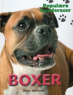 POPULÆRE HUNDERACER: Boxer