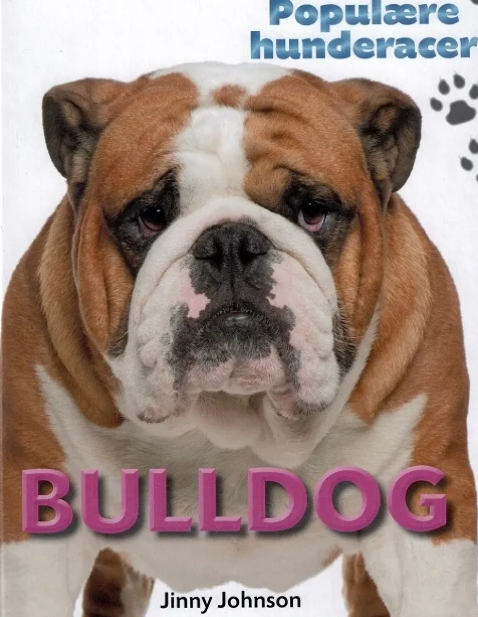 POPULÆRE HUNDERACER: Bulldog