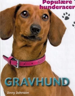 POPULÆRE HUNDERACER: Gravhund
