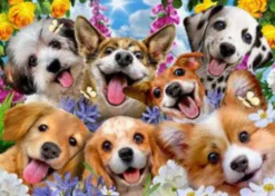 Puppies selfie Howard Robinson 1000 brikker