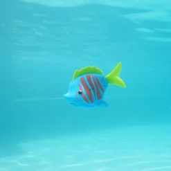 Rainbow Reef Fish - Betafisk