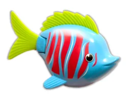 Rainbow Reef Fish - Betafisk
