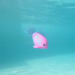 Rainbow Reef Fish - Regnbuefisk