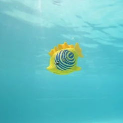 Rainbow Reef Fish - Zebrafisk