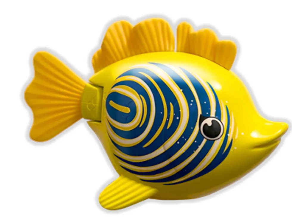 Rainbow Reef Fish - Zebrafisk