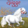 RAP-klubben 16 - Fuld galop, Sigge