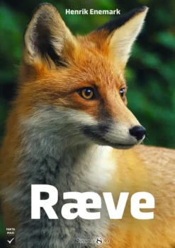Ræve