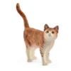 Schleich Kat