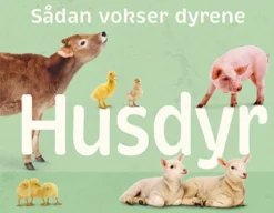 Sådan vokser dyrene: Husdyr