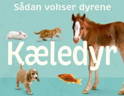 Sådan vokser dyrene: Kæledyr