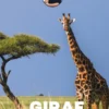 Sebastians dyrebibliotek: Giraf