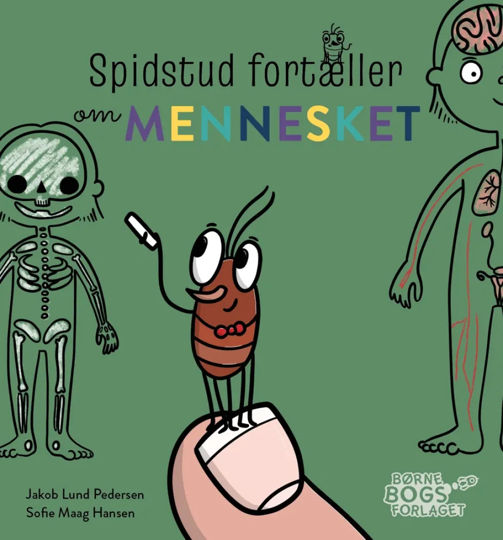 Spidstud fortæller om mennesket