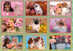 Super Noli Puppies 180 brikker