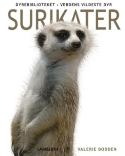 Surikater