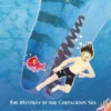 The Mystery of the Cretaceous Sea