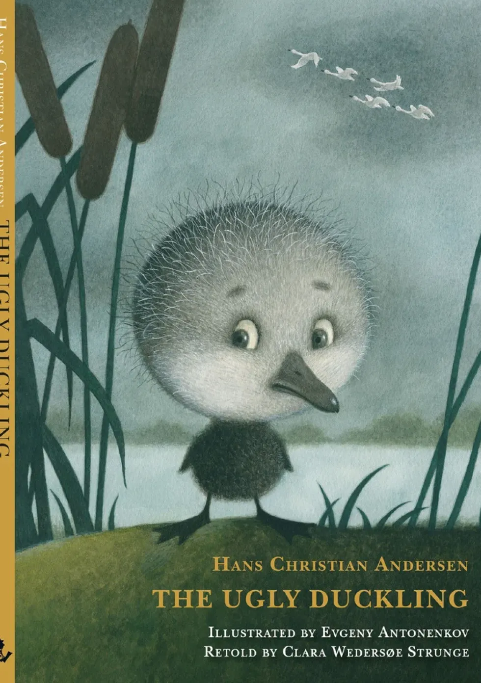 The Ugly Duckling