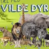 Tæl med vilde dyr