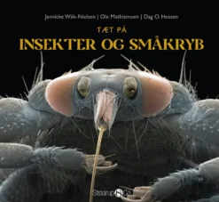Tæt på insekter og småkryb