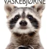 Vaskebjørne
