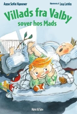 Villads fra Valby sover hos Mads